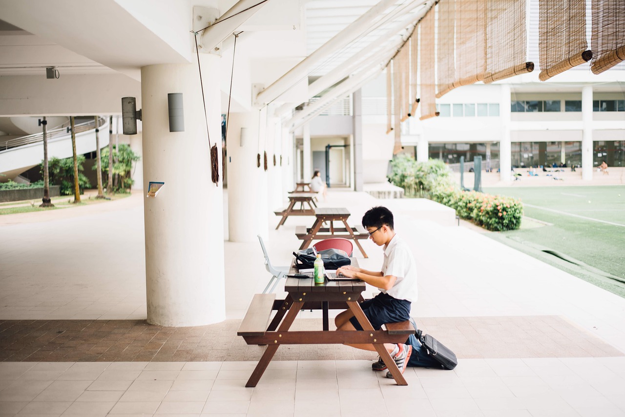 北京雅思入门培训班，开启你的国际学术之旅